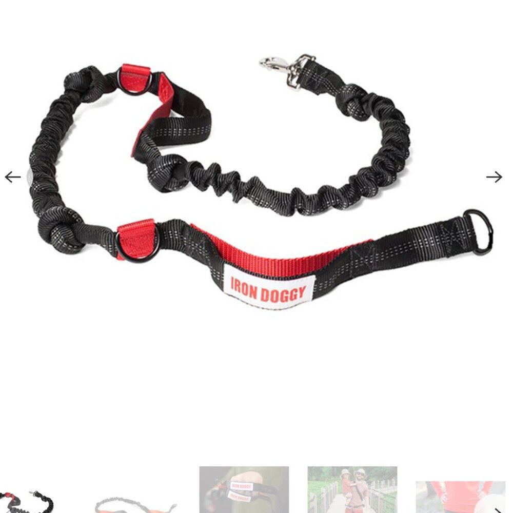 Iron Doggy Leash